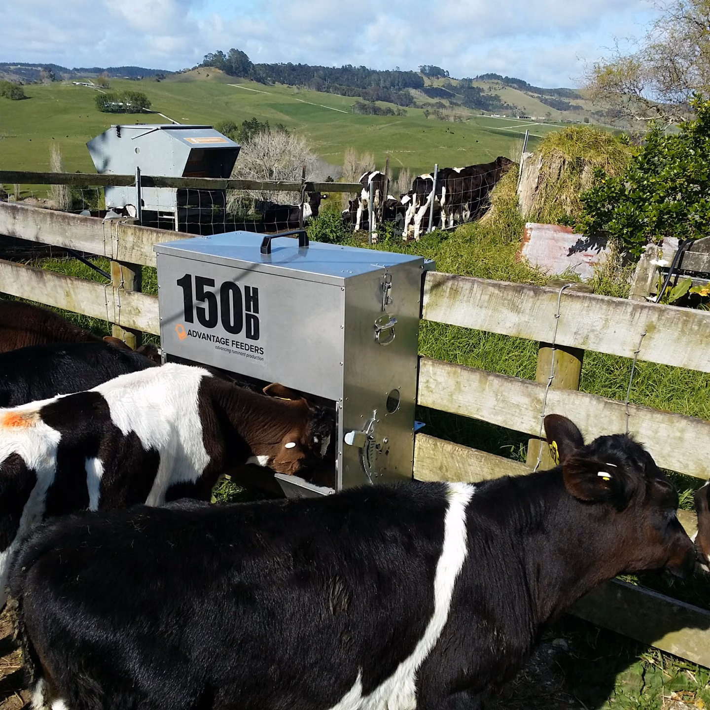 150HD Grain Feeder - Image 3