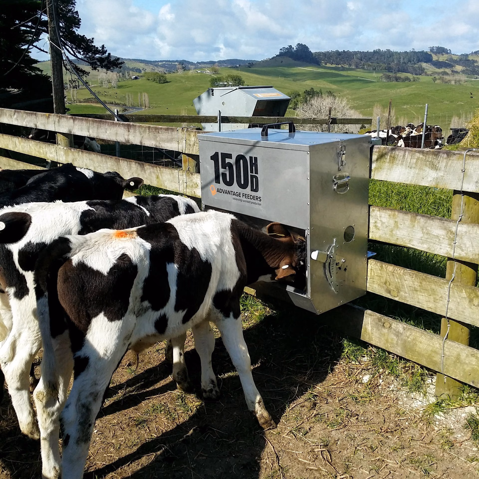 150HD Grain Feeder - Image 4