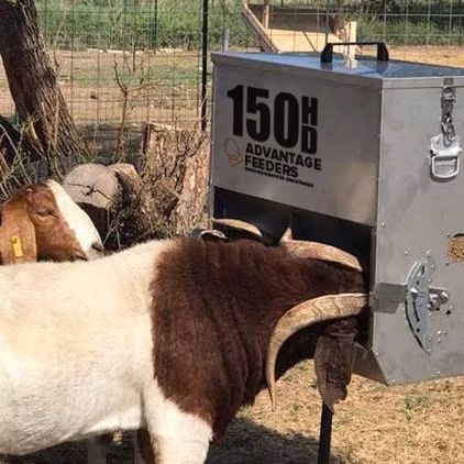 150HD Grain Feeder - Image 2