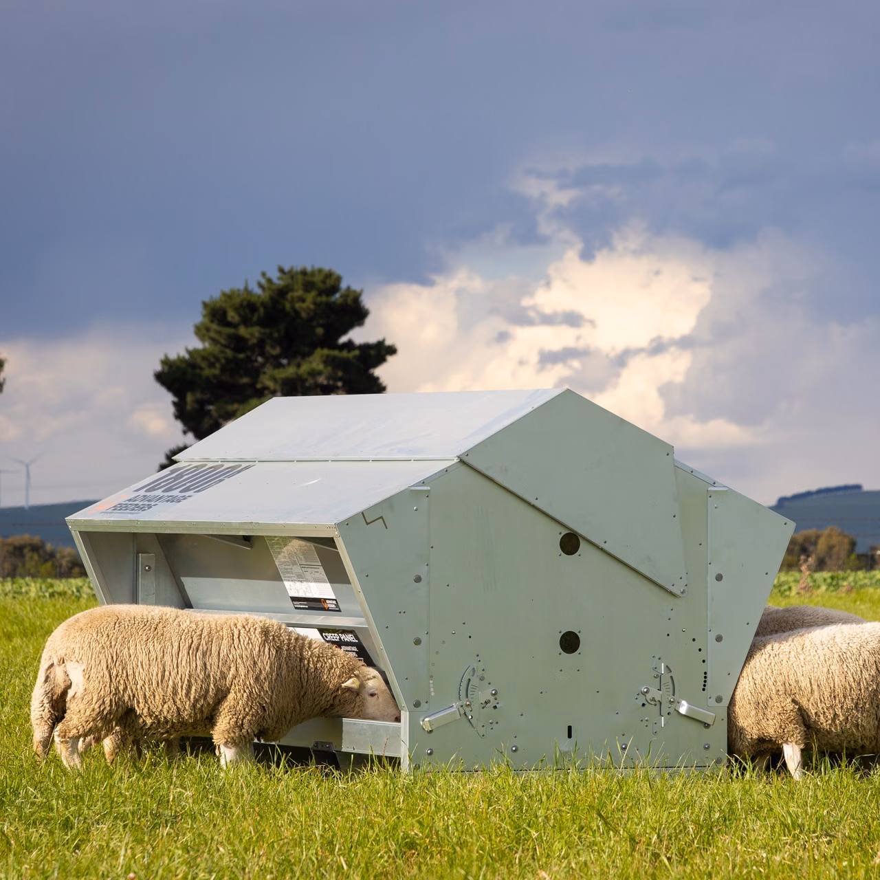 1800HD Grain Feeder (Flat Packed) - Image 2