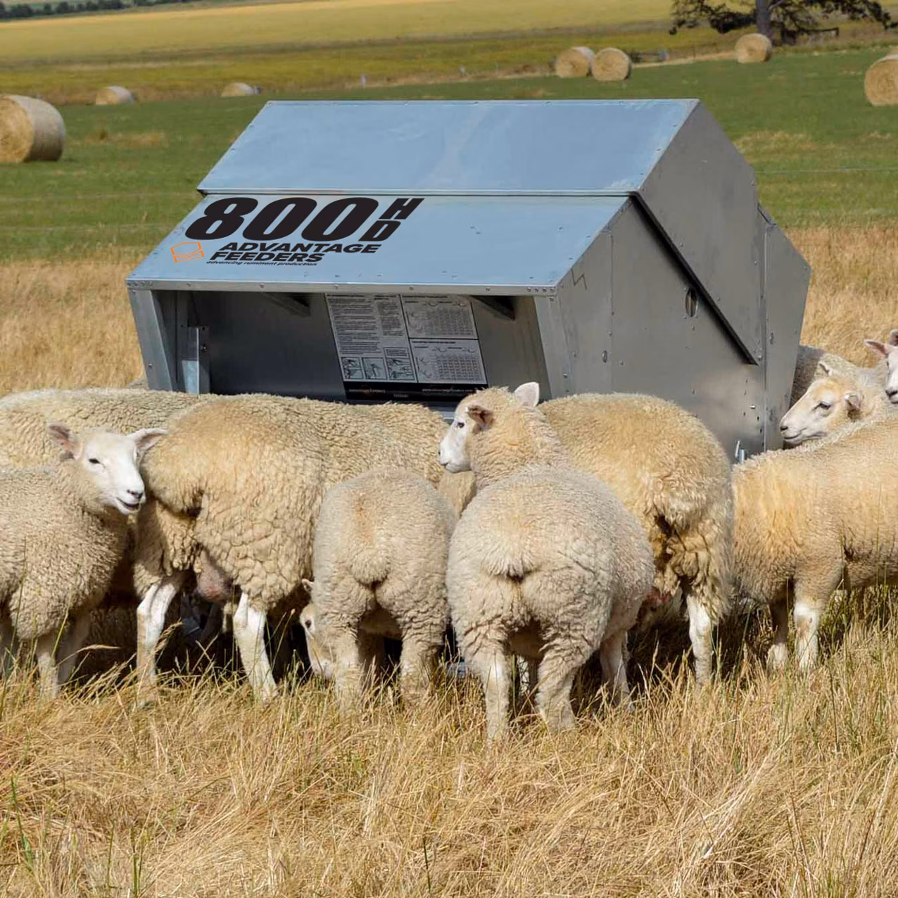 800HD Grain Feeder (Flat Packed) - Image 3